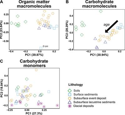 Carbohydrate compositional trends throughout Holocene sediments of an alpine lake (Lake Cadagno)